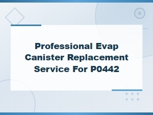 Professional Evap Canister Replacement Service for P0442